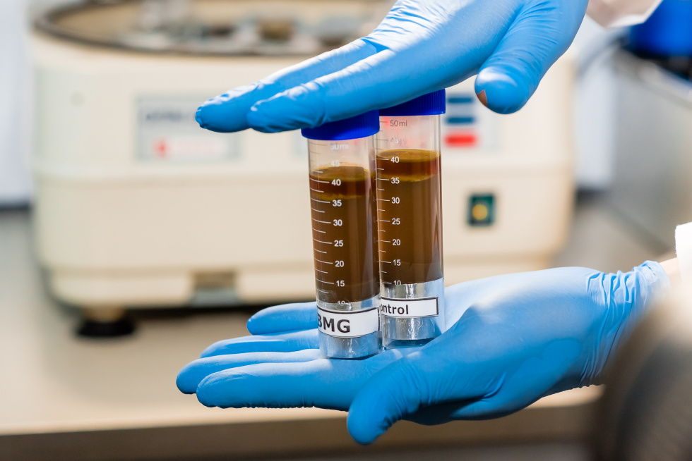 Biomicrogels<sup>®</sup> - solutions for palm oil extractions