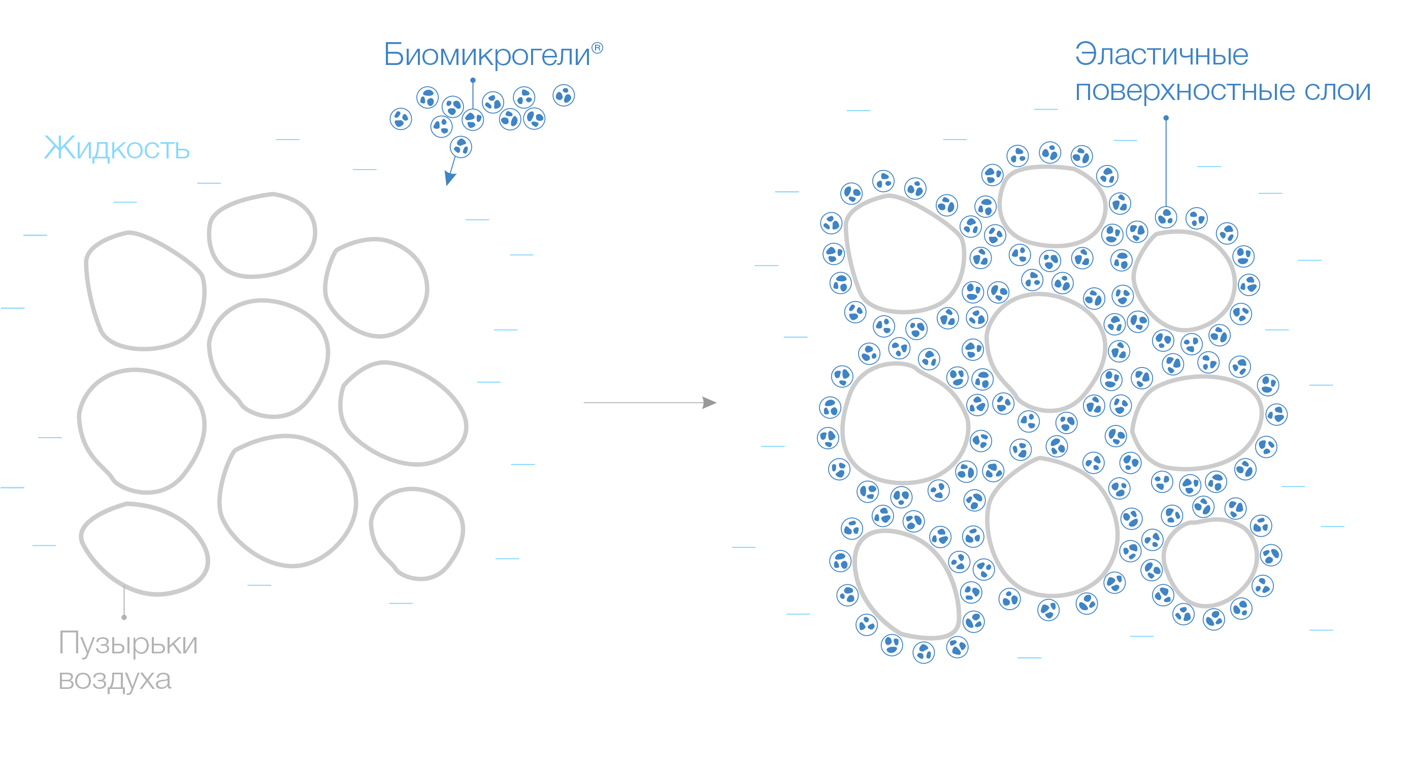 Biomicrogel® froth stabilization action