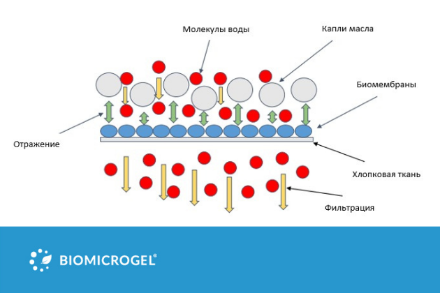 The journal "Clean Technologies and Environmental Policy" published an article by SPC BioMicroGel on the use of biopolymer-based membranes