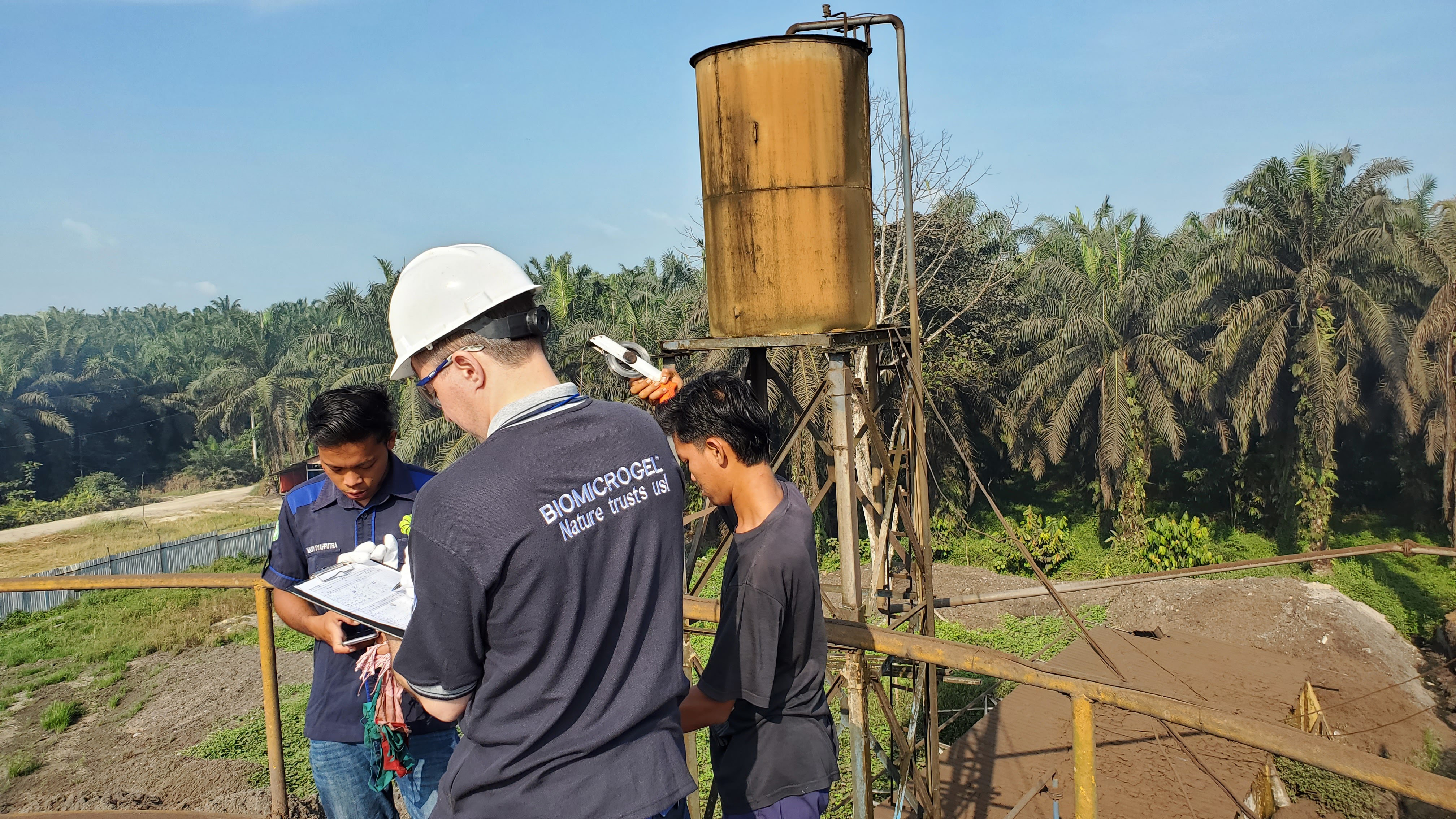 Leading experts in palm oil extraction have recognized Biomicrogels® reagents as innovative to improve production efficiency and reduce costs at mills in Indonesia and Malaysia.