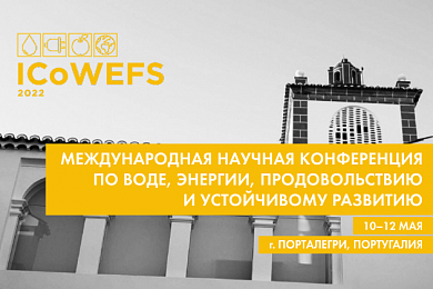 Эксперты ICoWEFS 2022 признали эффективность Биомикрогелей<sup>®</sup> в ликвидации разливов нефти